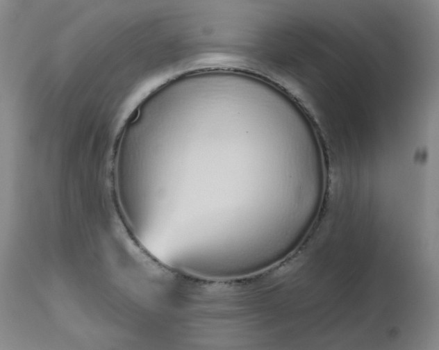 X0000112521421200908311346