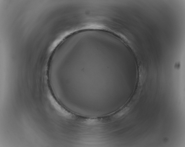 X0000112521422200908311346