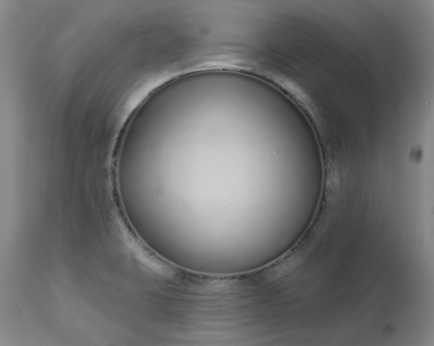 X0000112521423200908311346