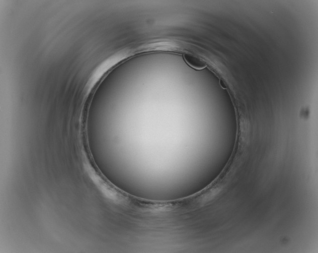 X0000112521426200908311346