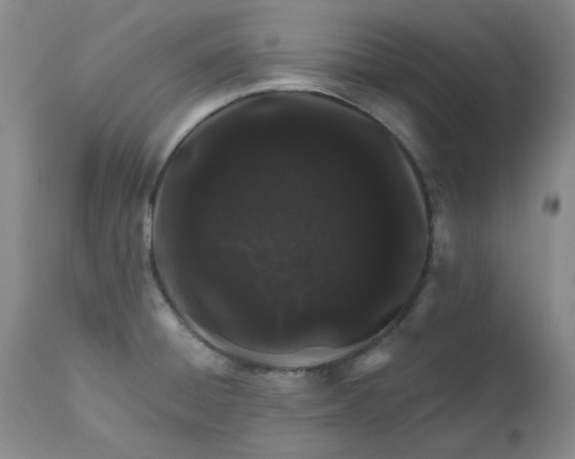 X0000112521428200908311346