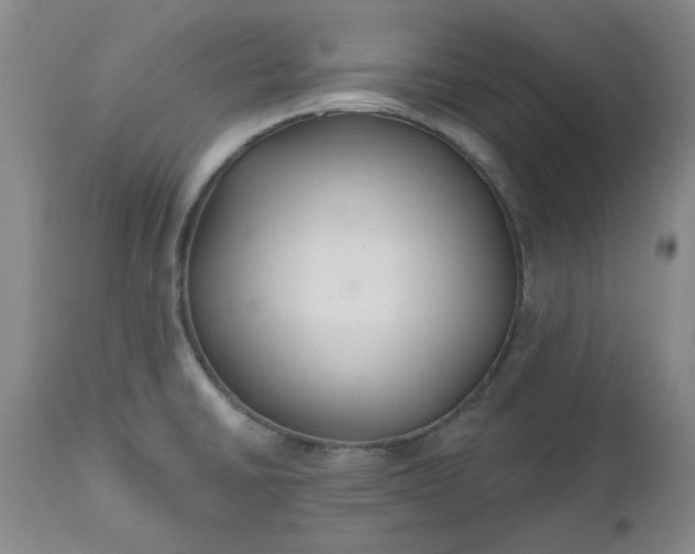 X0000112521430200908311346