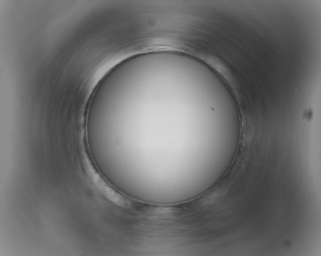 X0000112521431200908311346