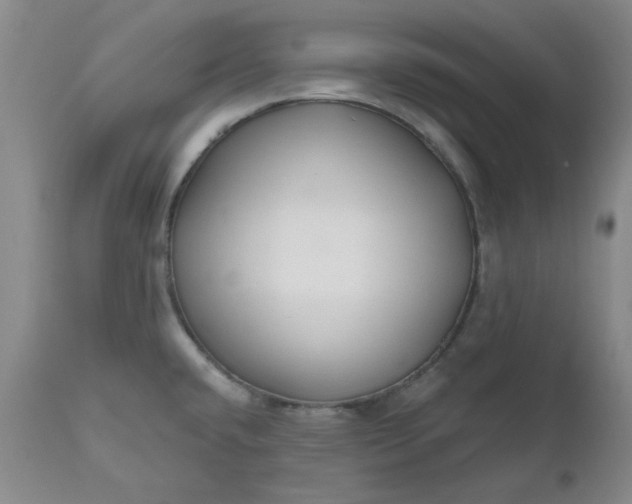 X0000112521432200908311346