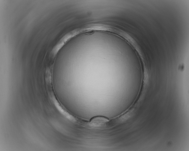 X0000112521433200908311347