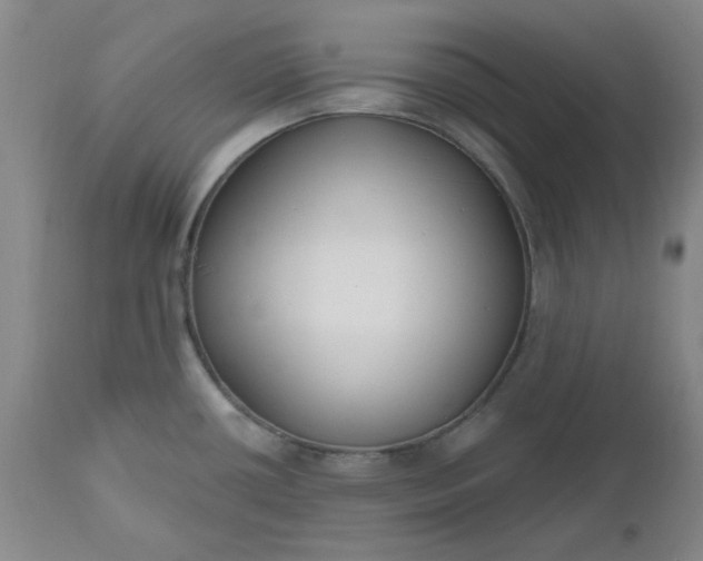 X0000112521434200908311347
