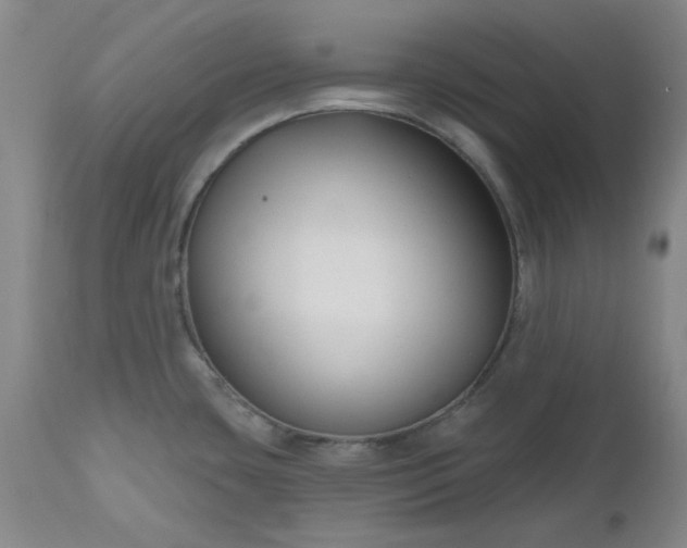 X0000112521435200908311347