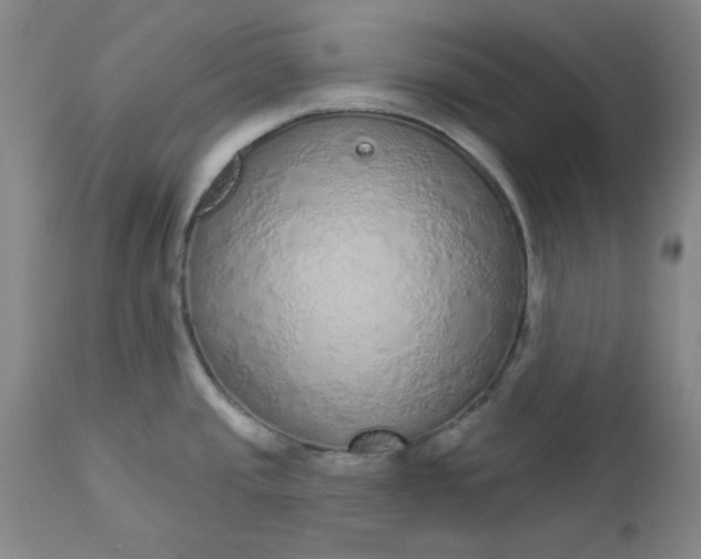 X0000112521437200908311347