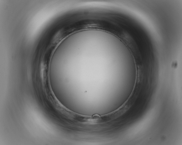 X0000112521438200908311347