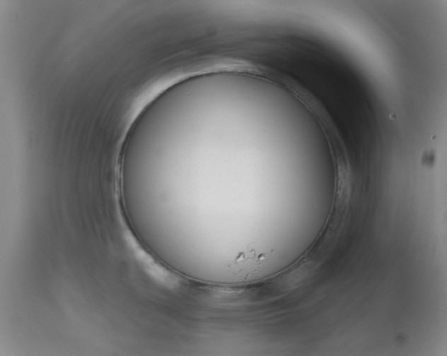 X0000112521439200908311347
