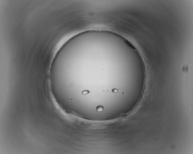 X0000112521440200908311347