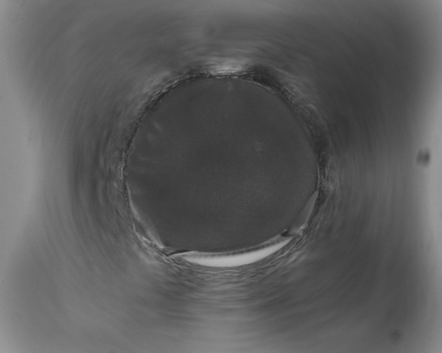 X0000112521441200908311346