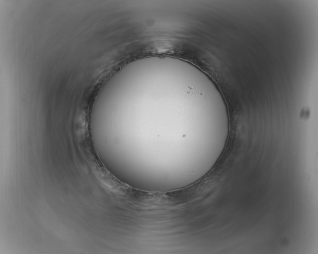 X0000112521442200908311346