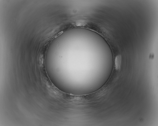 X0000112521443200908311346
