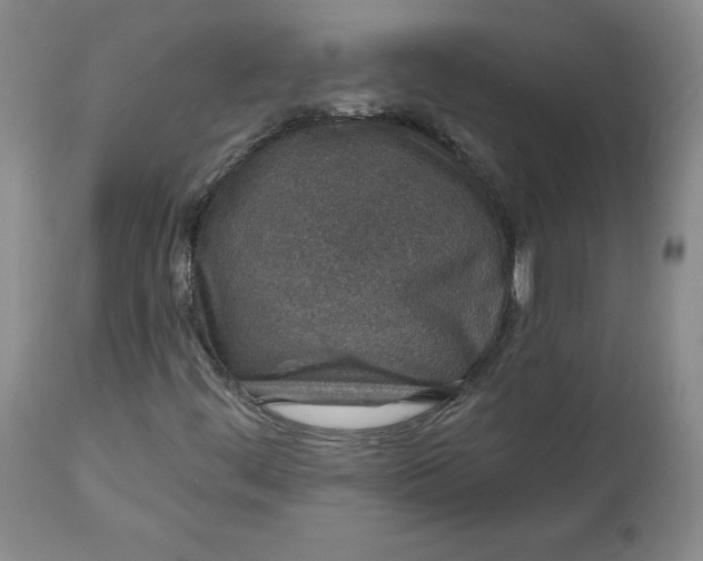 X0000112521444200908311346