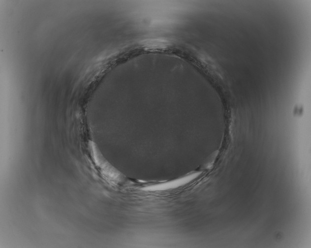 X0000112521445200908311346