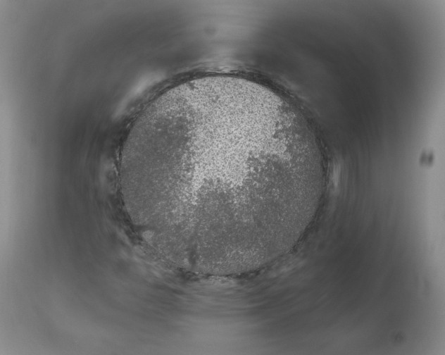 X0000112521446200908311346