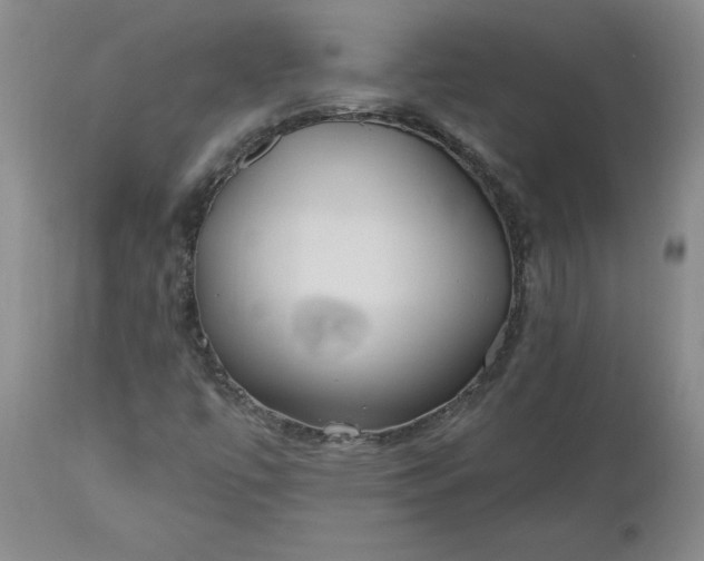 X0000112521447200908311346