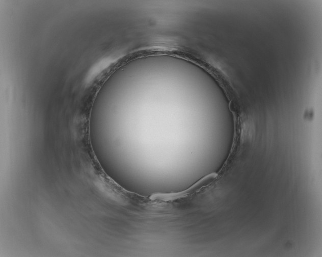 X0000112521448200908311346