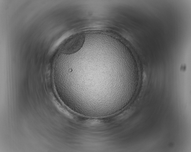 X0000112521450200908311346