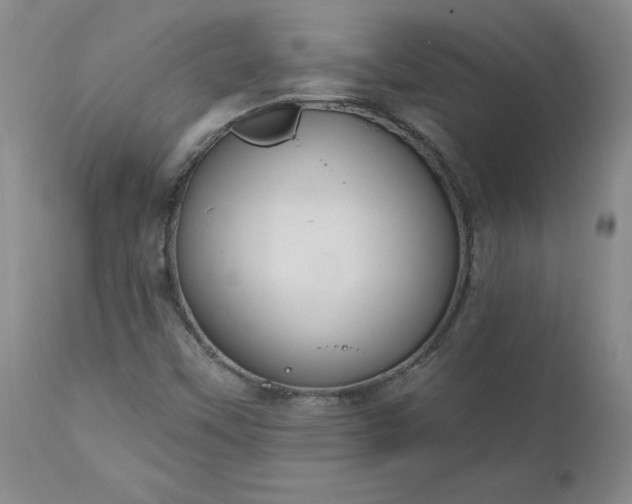 X0000112521451200908311346