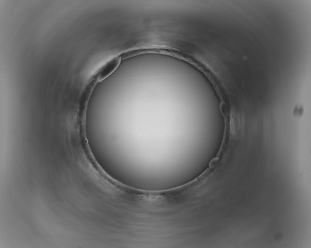 X0000112521452200908311346
