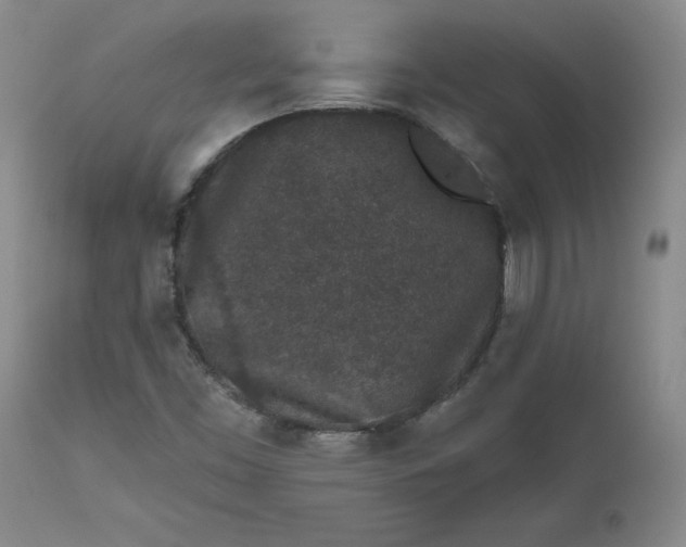 X0000112521453200908311346