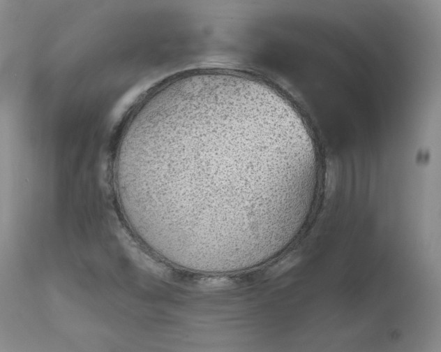 X0000112521454200908311346