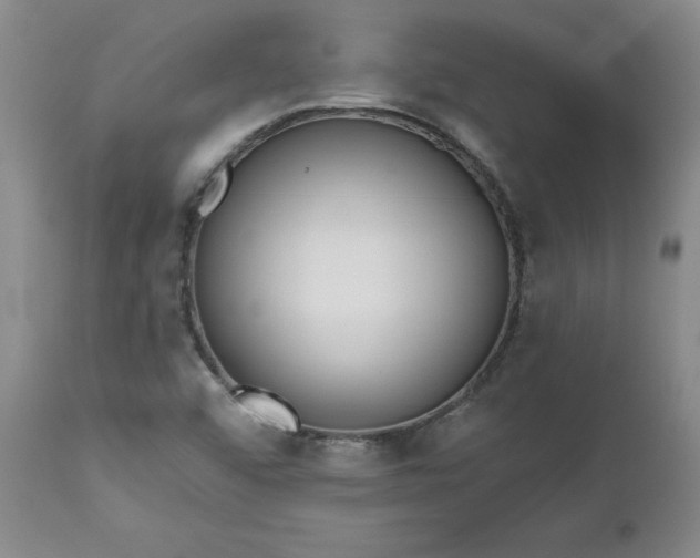 X0000112521456200908311346