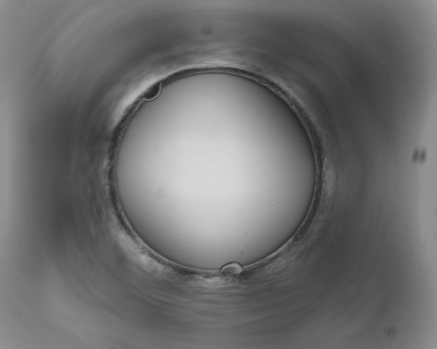 X0000112521460200908311346