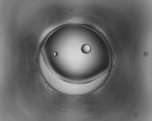 X0000112521461200908311346