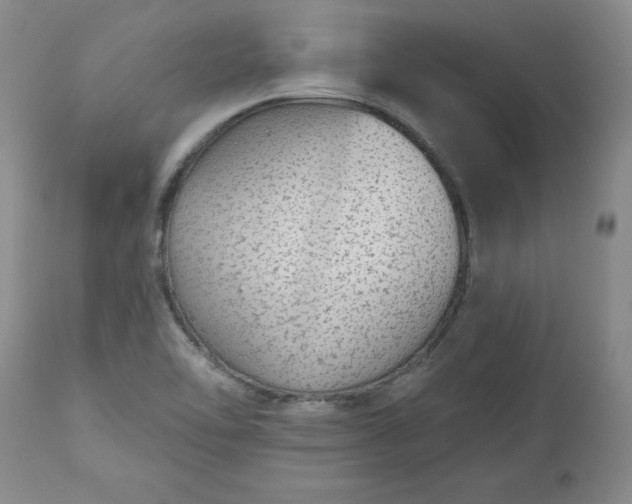 X0000112521462200908311346