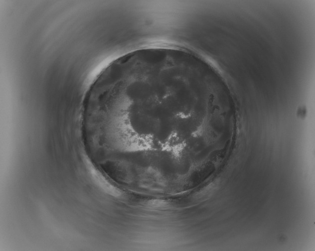 X0000112521463200908311346