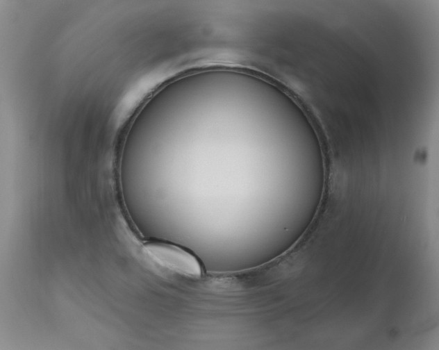 X0000112521464200908311346
