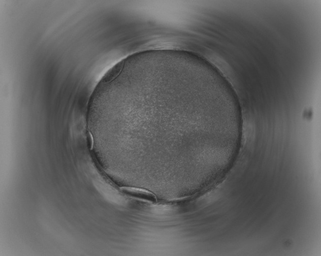X0000112521465200908311346