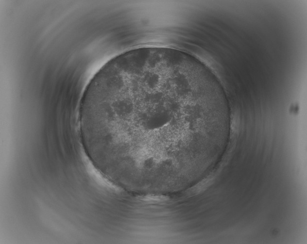 X0000112521466200908311346