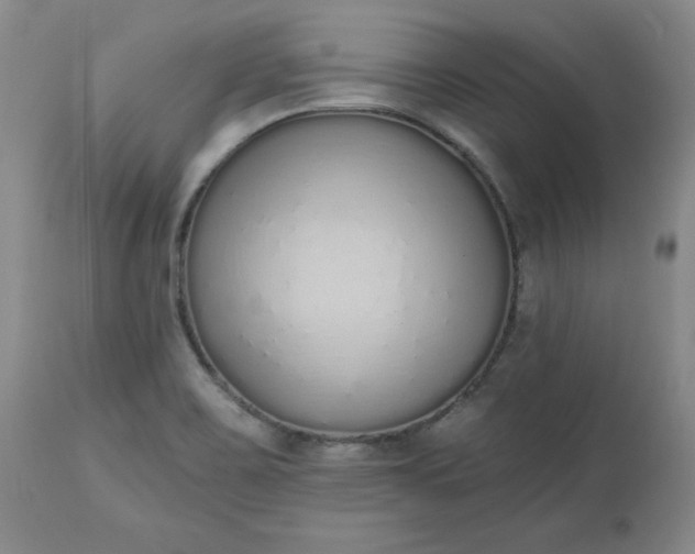 X0000112521467200908311346