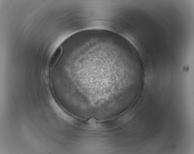 X0000112521468200908311346