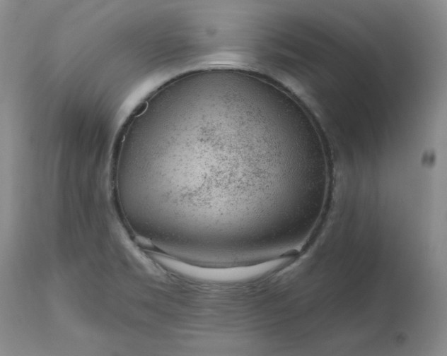 X0000112521469200908311346