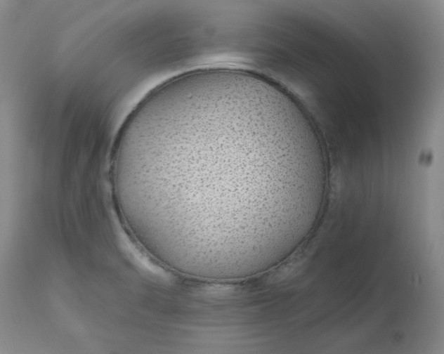 X0000112521470200908311346