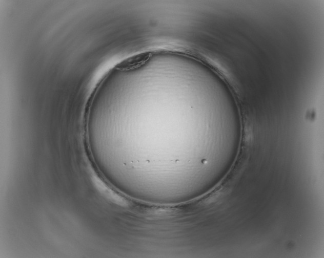 X0000112521471200908311346