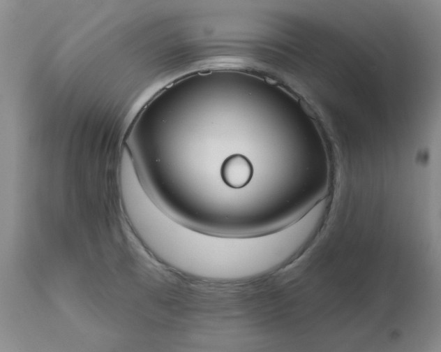 X0000112521473200908311345