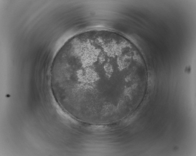 X0000112521474200908311345