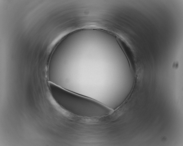X0000112521476200908311345