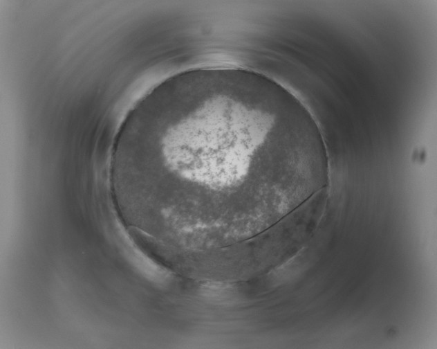X0000112521477200908311345