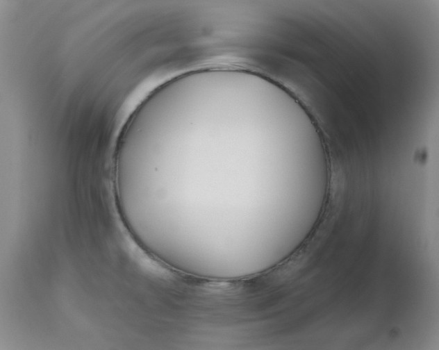 X0000112521478200908311345