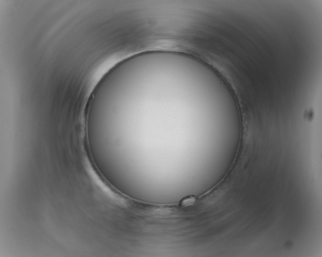 X0000112521479200908311345