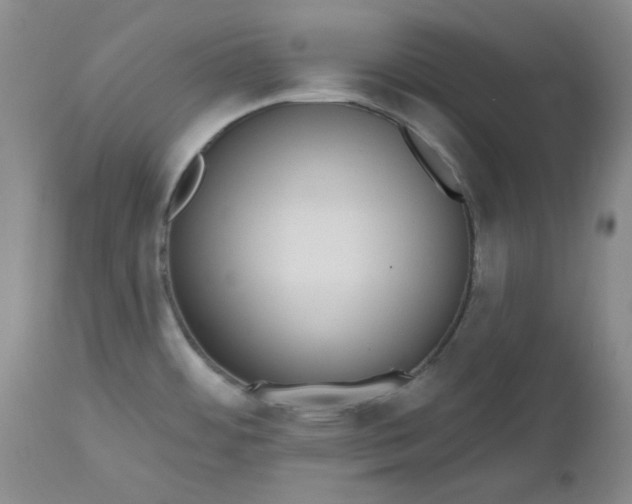 X0000112521484200908311345