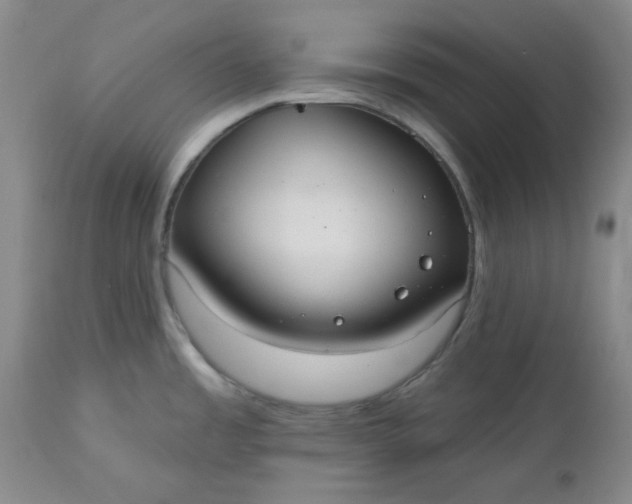 X0000112521485200908311345