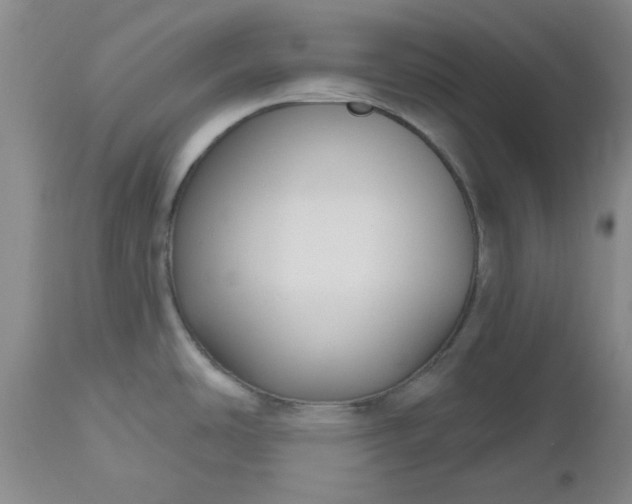 X0000112521486200908311345